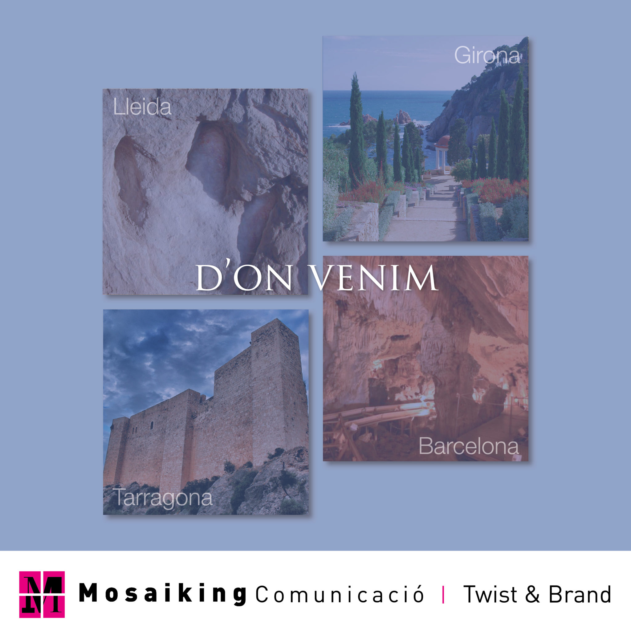 Mosaiking d’estiu – D’on venim